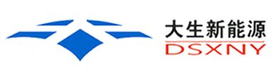 大生新能源